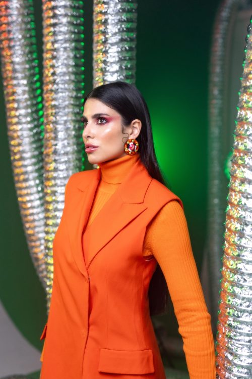 Aplatillo-naranja-scaled-1.jpg