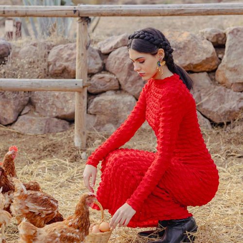 Pendiente-Gallina-modelo