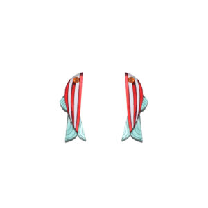 boqueron-rojo-frente