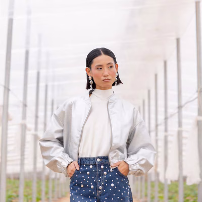 BOYA-PLATEADA-MODELO-1