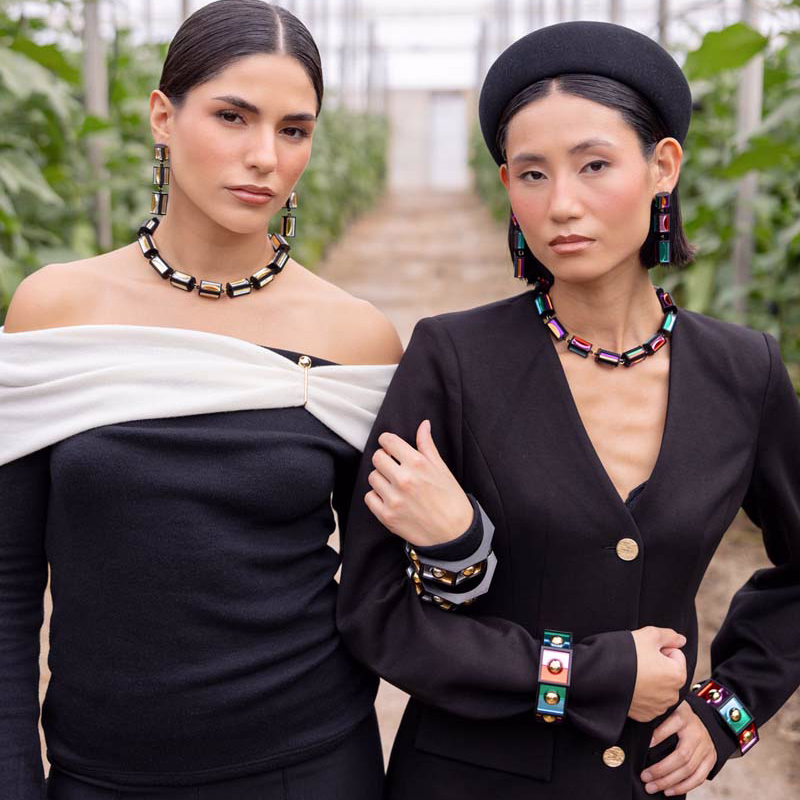 CAJA ABEJORROS COLOR -MODELOS-2