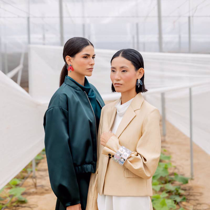 CRISOPA COLOR MODELOS-1