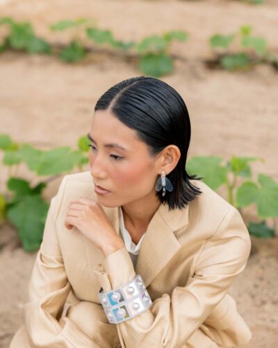 CRISOPA-TRANSPARENTE-MODELO-2