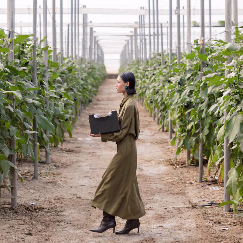 HOJA-CALABACIN-MODELO-4