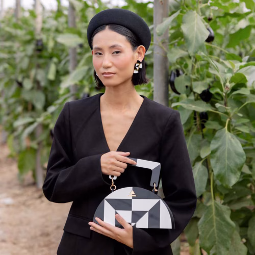 INVERNADERO-BN-MODELO-4
