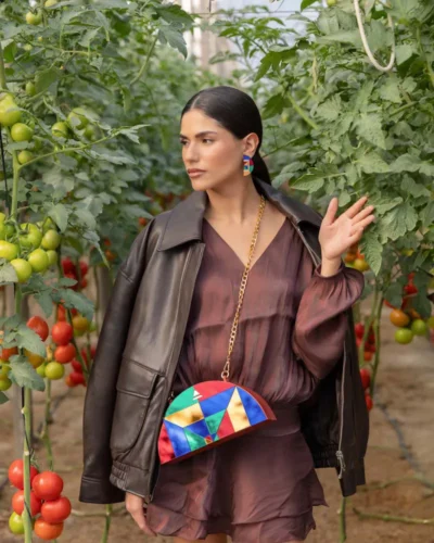 INVERNADERO-COLOR-MODELO