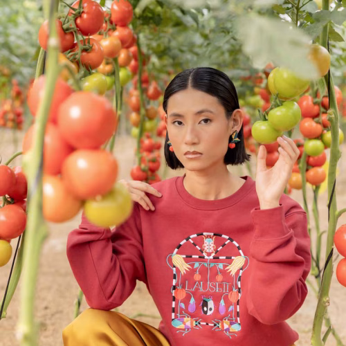TOMATE-MODELO-1