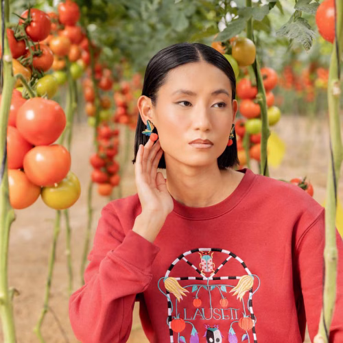 TOMATE-MODELO-2