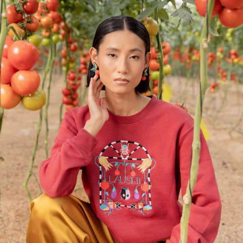 TOMATE-MODELO-3