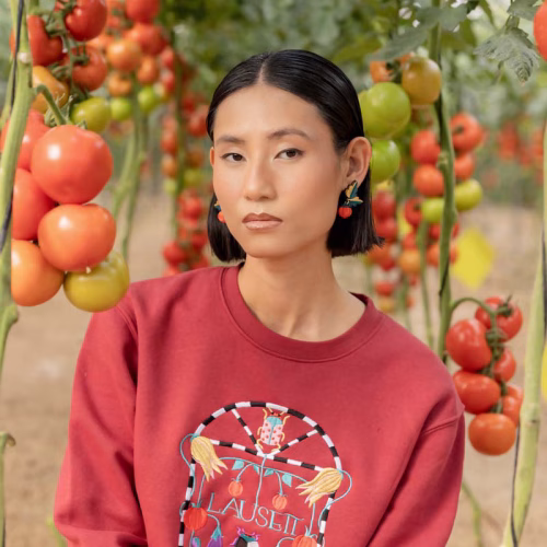 TOMATE-MODELO-4