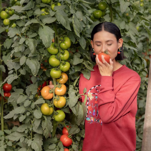 TOMATE-MODELO-6
