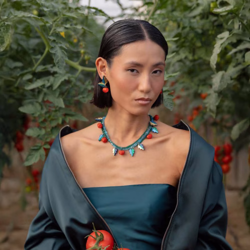TOMATE-MODELO-8